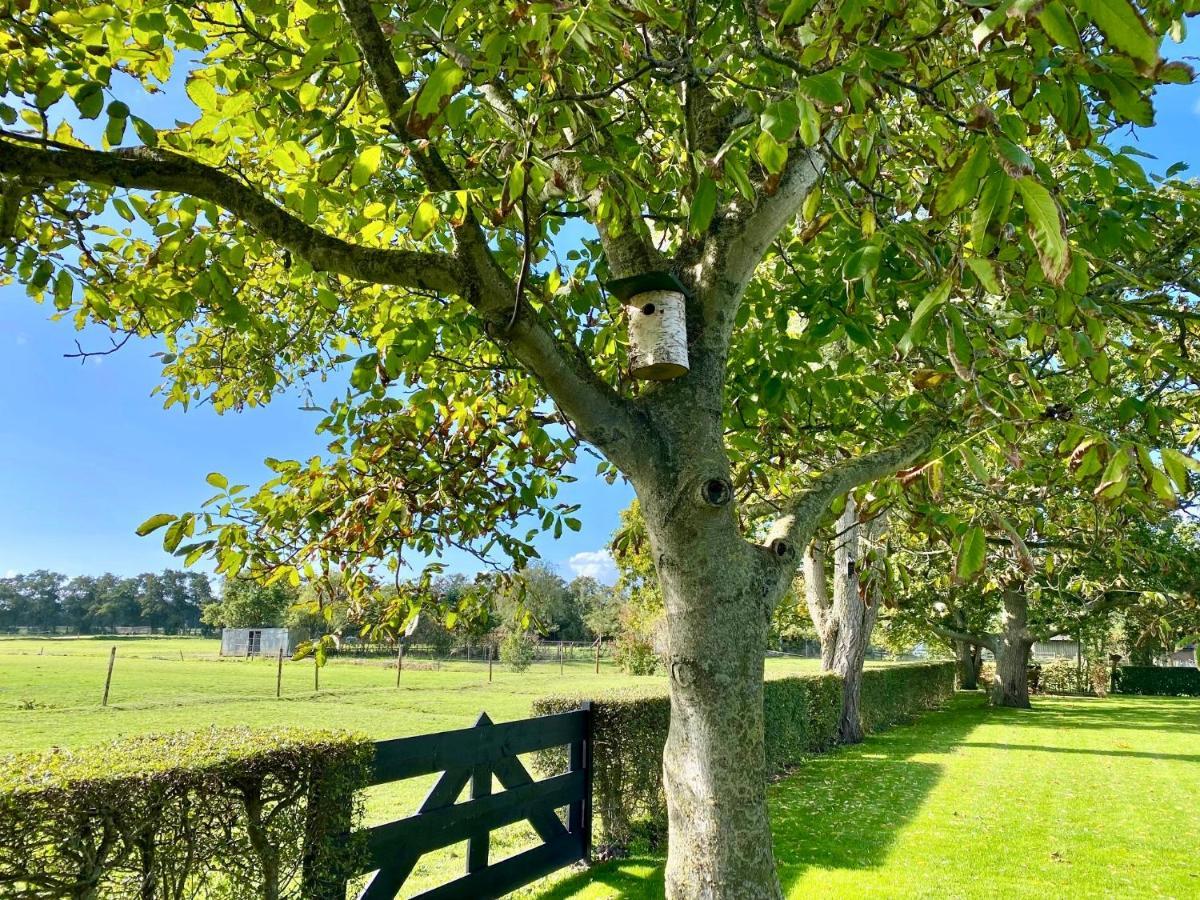 Vakantiewoning Skuur Bergen Exteriör bild
